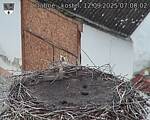 Capi_Dubne_20250912_070002.jpg