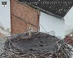 Capi_Dubne_20250912_070503.jpg