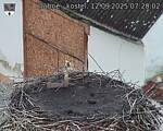 Capi_Dubne_20250912_072002.jpg
