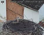 Capi_Dubne_20250912_083003.jpg