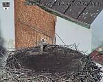 Capi_Dubne_20250912_093502.jpg
