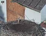 Capi_Dubne_20250912_094003.jpg