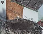 Capi_Dubne_20250912_094502.jpg