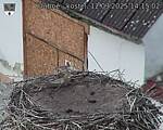 Capi_Dubne_20250912_141502.jpg