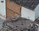 Capi_Dubne_20250912_142003.jpg