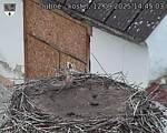 Capi_Dubne_20250912_144503.jpg