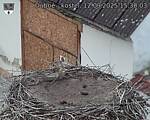Capi_Dubne_20250912_153003.jpg