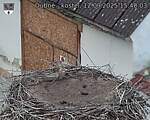 Capi_Dubne_20250912_154003.jpg
