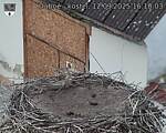 Capi_Dubne_20250912_161003.jpg