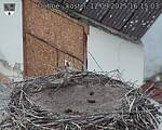 Capi_Dubne_20250912_161503.jpg