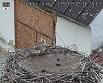 Capi_Dubne_20250912_163503.jpg