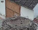 Capi_Dubne_20250912_164502.jpg