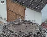 Capi_Dubne_20250912_171003.jpg