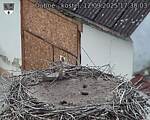 Capi_Dubne_20250912_173003.jpg