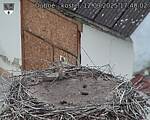 Capi_Dubne_20250912_174002.jpg