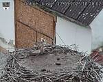 Capi_Dubne_20250912_182002.jpg