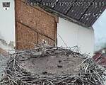 Capi_Dubne_20250912_183003.jpg