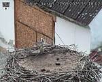 Capi_Dubne_20250912_191002.jpg