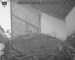 Capi_Dubne_20250912_194003.jpg