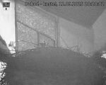 Capi_Dubne_20250912_202002.jpg