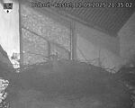 Capi_Dubne_20250912_213502.jpg