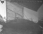 Capi_Dubne_20250912_215002.jpg