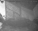 Capi_Dubne_20250913_002002.jpg