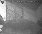 Capi_Dubne_20250913_013003.jpg
