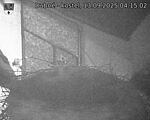 Capi_Dubne_20250913_041502.jpg