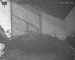 Capi_Dubne_20250913_060003.jpg