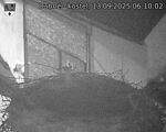 Capi_Dubne_20250913_061002.jpg