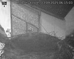 Capi_Dubne_20250913_061503.jpg