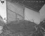 Capi_Dubne_20250913_062002.jpg