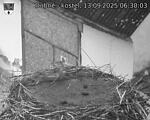 Capi_Dubne_20250913_063003.jpg