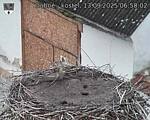 Capi_Dubne_20250913_065002.jpg