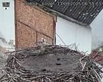 Capi_Dubne_20250913_065503.jpg