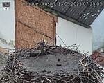 Capi_Dubne_20250913_072503.jpg