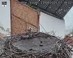 Capi_Dubne_20250913_073002.jpg