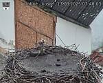 Capi_Dubne_20250913_074003.jpg