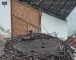 Capi_Dubne_20250913_081003.jpg