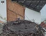 Capi_Dubne_20250913_081503.jpg