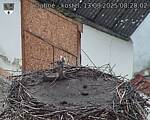 Capi_Dubne_20250913_082002.jpg