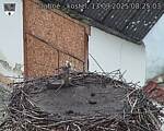 Capi_Dubne_20250913_082503.jpg