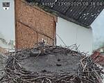 Capi_Dubne_20250913_083004.jpg