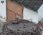 Capi_Dubne_20250913_084502.jpg