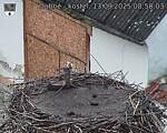 Capi_Dubne_20250913_085003.jpg
