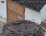 Capi_Dubne_20250913_093503.jpg