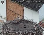 Capi_Dubne_20250913_100003.jpg