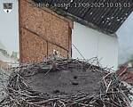 Capi_Dubne_20250913_100503.jpg