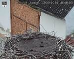 Capi_Dubne_20250913_104003.jpg